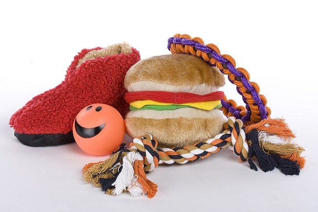 variety of dog toys