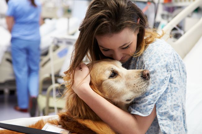 therapy dog visiting young woman in a hospital