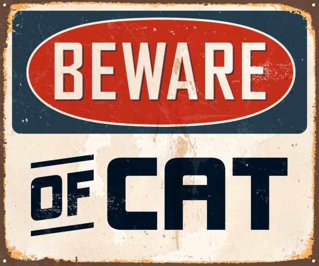 beware of cat sign