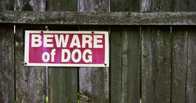 beware of dog sign on a wooden fence