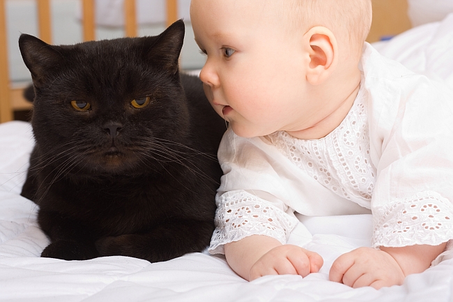 baby next to black cat