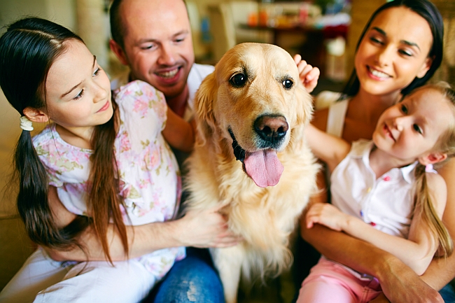 family with Golden Retriever