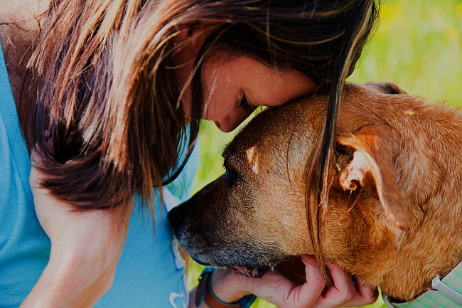 woman and dog console each other