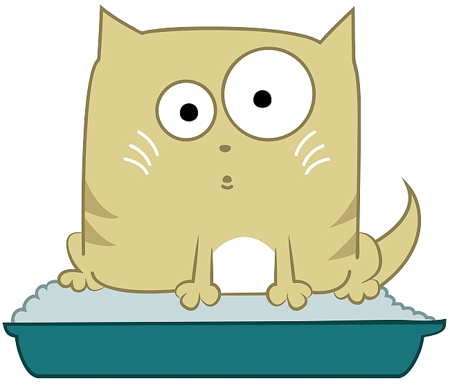 cat in litter box graphic