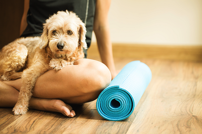 dog and owner with yoga mat