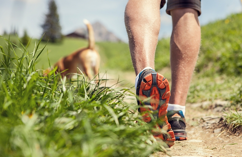 hiking with dog