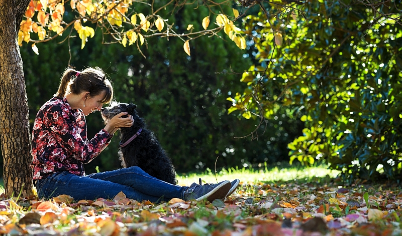 woman petting dog sitting in autumn leaves