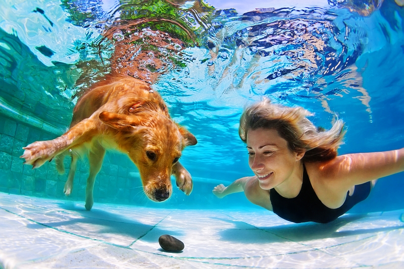 woman diving with dog