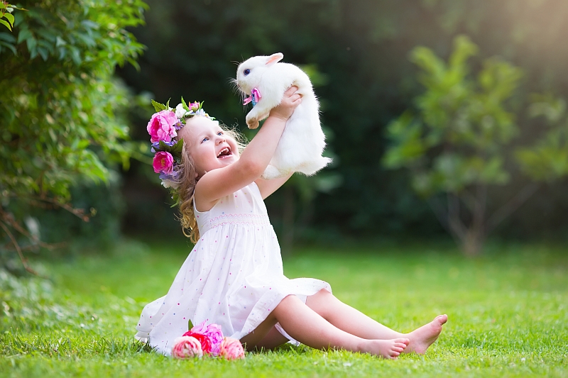 little girl playing with rabbit in grass field