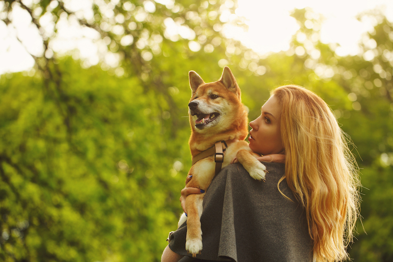 girl holding shiba inu in park