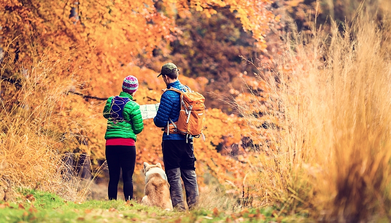 couple hiking with dog during autumn