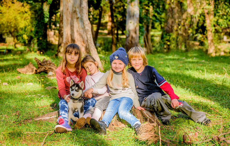 Group of four kids playing with husky puppy in the park