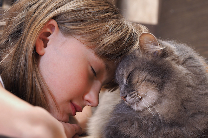 Cat and girl nose to nose. Tenderness, love, friendship. Sweet and loving picture of friendship and child cat