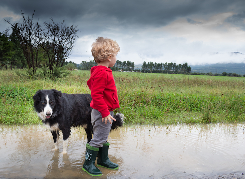 Photo of a blonde boy and his dog after the rain